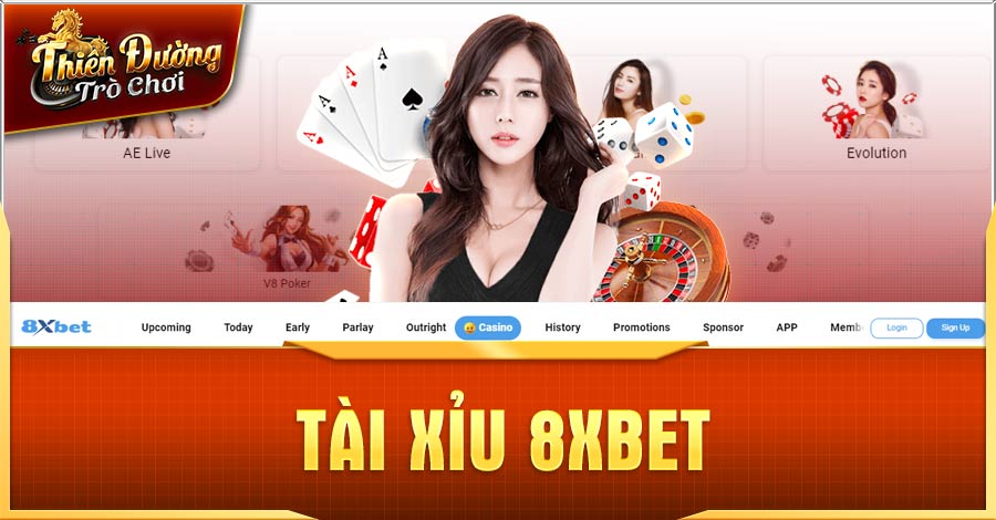 Hướng dẫn cách chơi cá cược Tài xỉu 8Xbet cơ bản cho tân binh 5 cách chơi Tài Xỉu 8Xbet